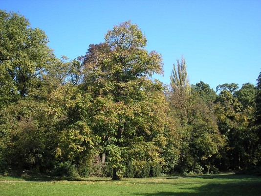 PA190012.jpg