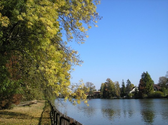 PA190014.jpg