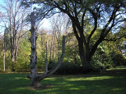 PA190019.jpg