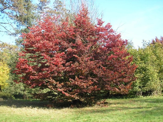 PA190030.jpg