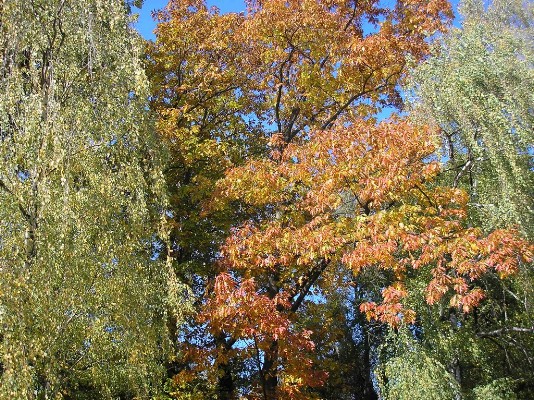 PA190036.jpg