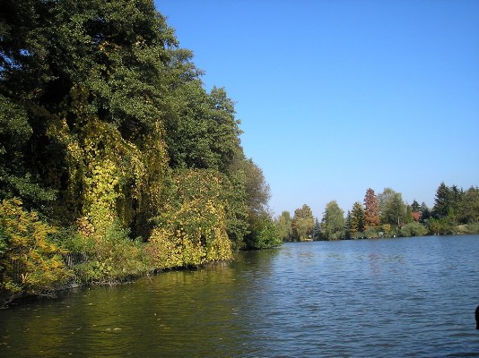 PA190037.jpg