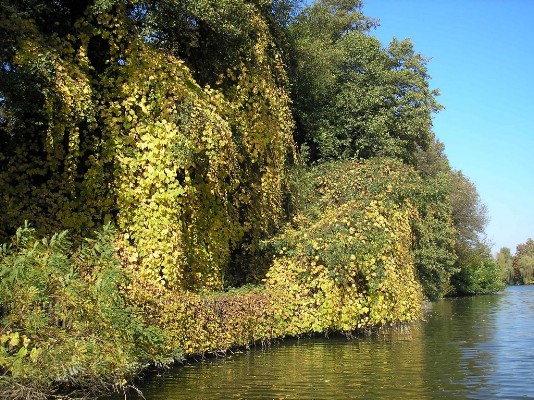 PA190039.jpg