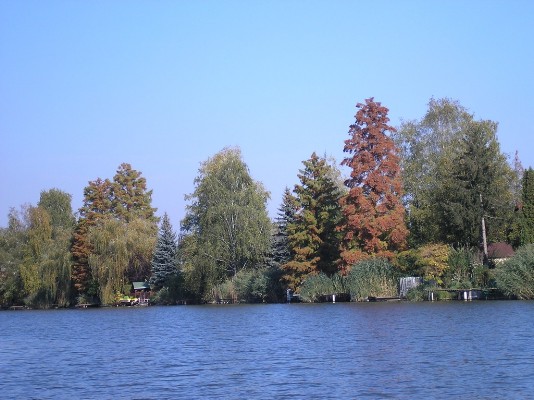 PA190042.jpg