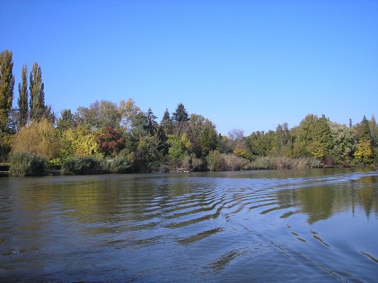 PA190056.jpg