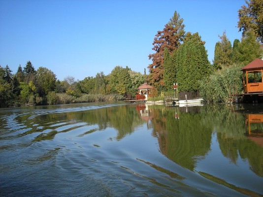 PA190057.jpg
