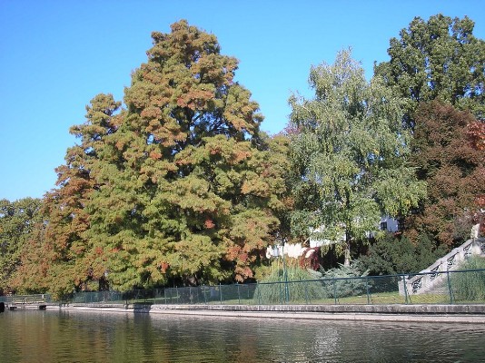PA190071.jpg