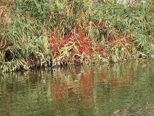 PA190073.jpg