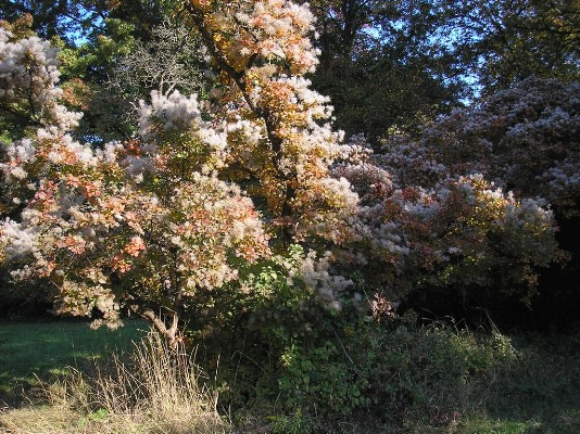 PA190096.jpg