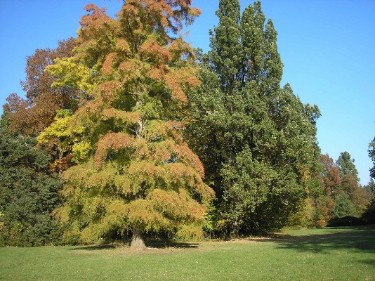 PA190102.jpg