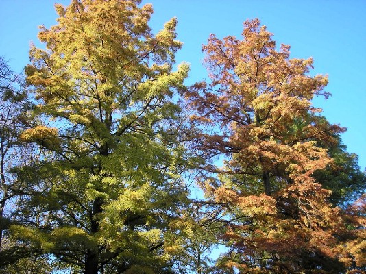 PA190121.jpg