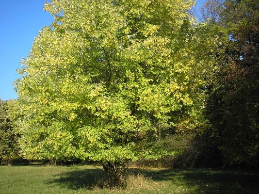 PA190129.jpg