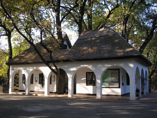 PA190168.jpg