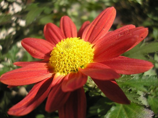 PB030004.jpg