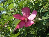 2009.aug.2+debreceni 055.jpg