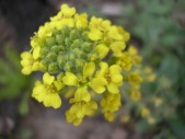 P4220128.jpg