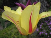 P4220129.jpg