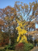 PB030075.jpg