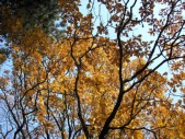 PB030076.jpg