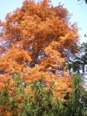 PB030087.jpg
