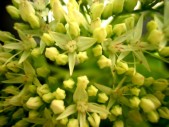 P9130094.jpg