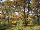 PB030127.jpg