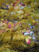 PB030140.jpg