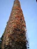 PB030179.jpg