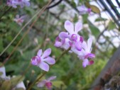 PB030218.jpg