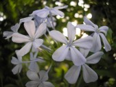 PB030224.jpg