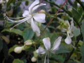 PB030229.jpg
