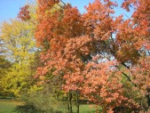 PA120163.jpg