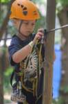 m150618e2764a1_small.jpg