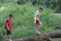 m150716e3774a1_small.jpg