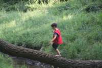 m150716e3777a1_small.jpg