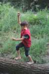 m150716e3785a1_small.jpg