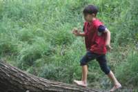 m150716e3787a1_small.jpg