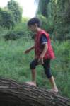 m150716e3821a1_small.jpg