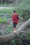 m150716e3831a1_small.jpg