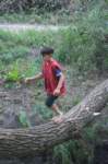 m150716e3833a1_small.jpg