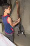 m160624e6783a1_small.jpg