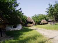 p6240005_small.jpg