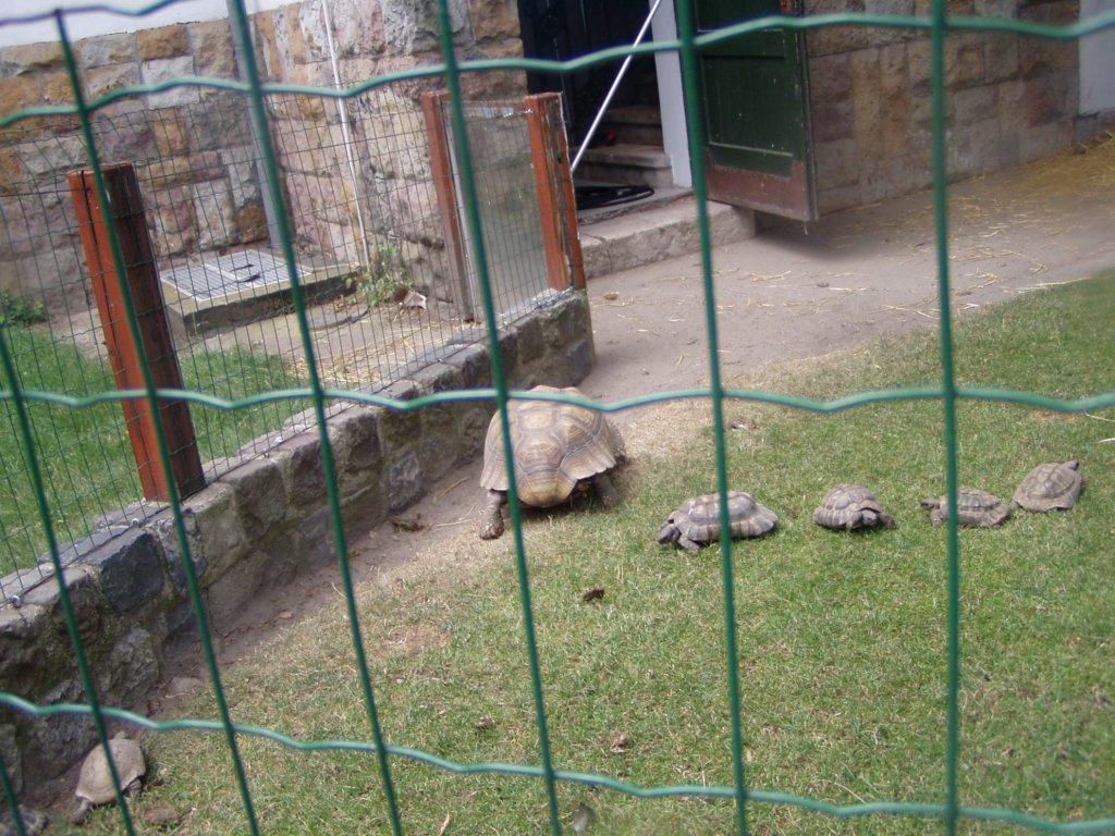 p1010205.jpg