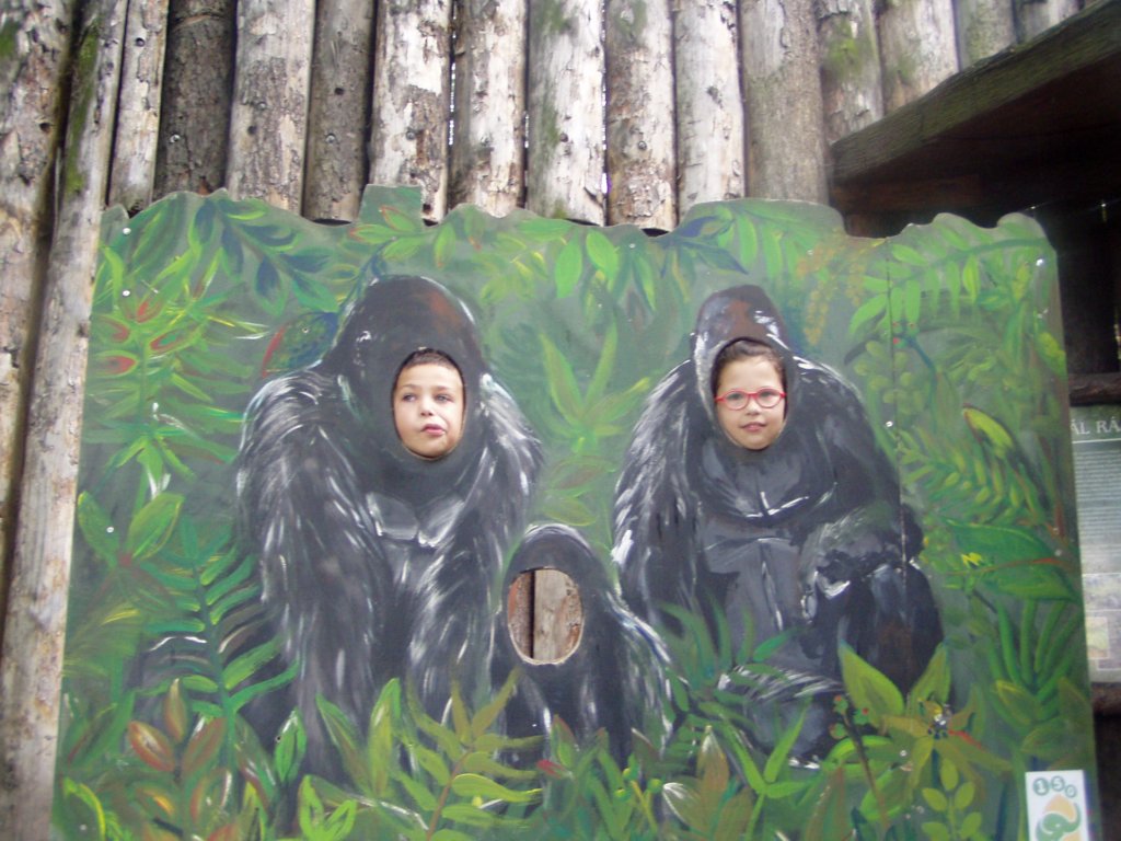 p1010208.jpg