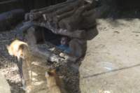 m160826e7452a1_small.jpg