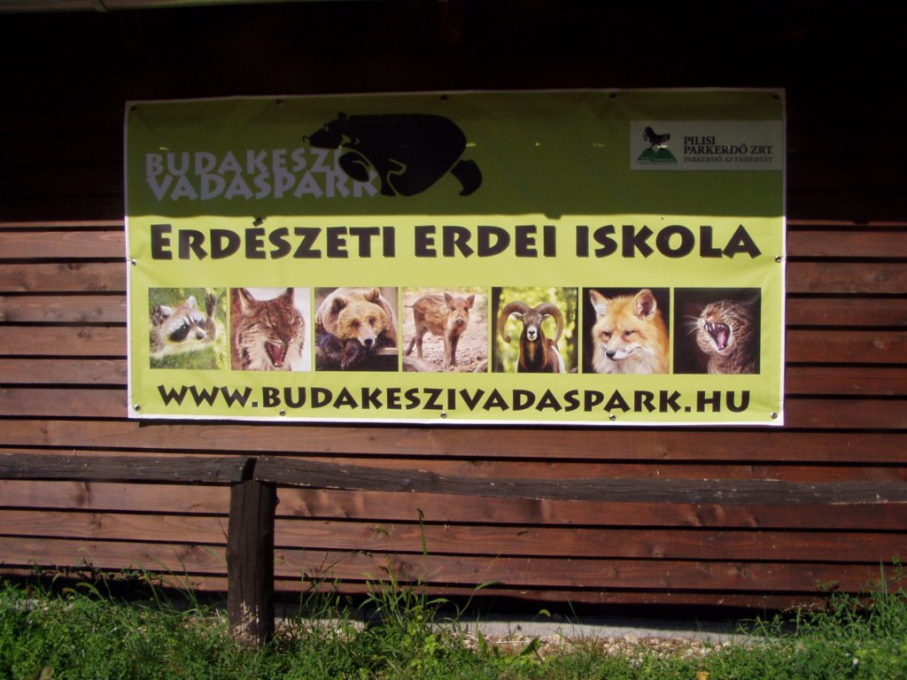 p1010304.jpg