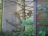 p1010324_small.jpg