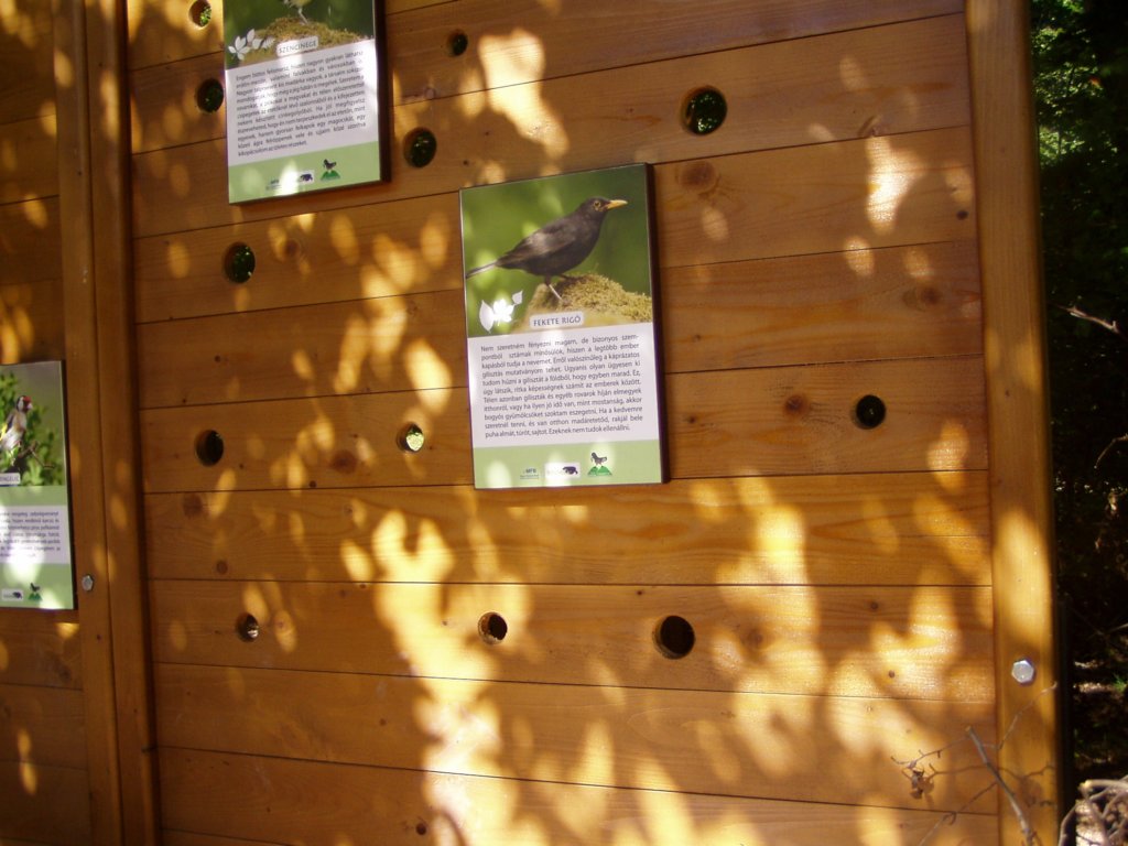 p1010334.jpg