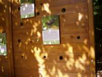 p1010334_small.jpg