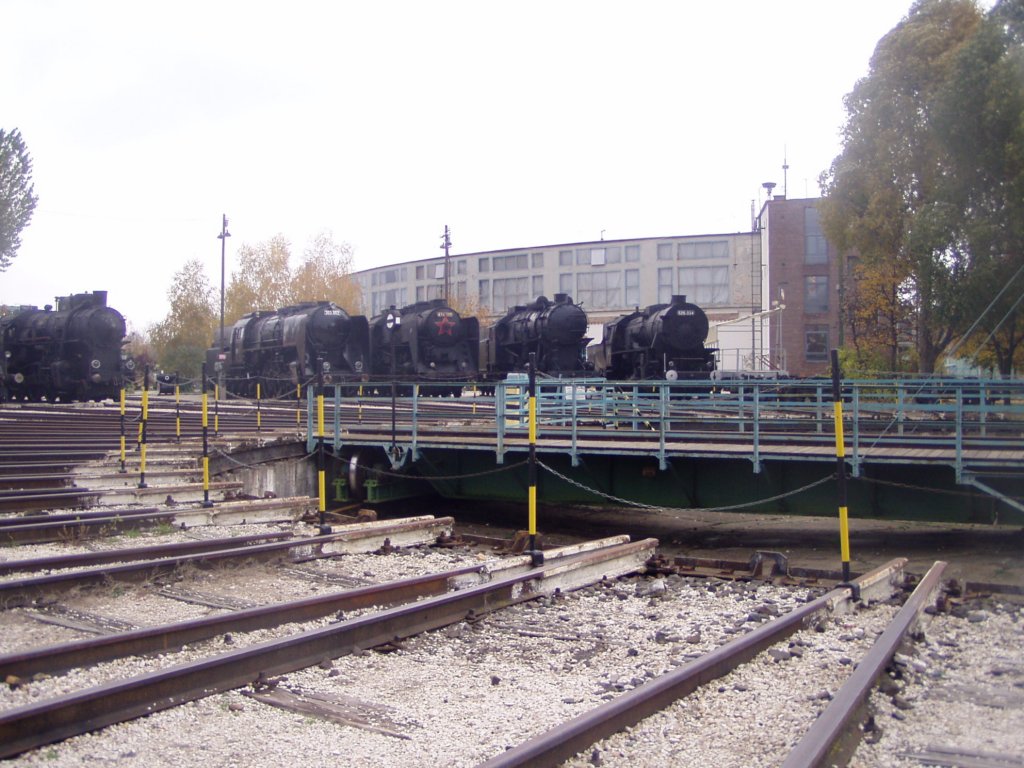 pa290010.jpg